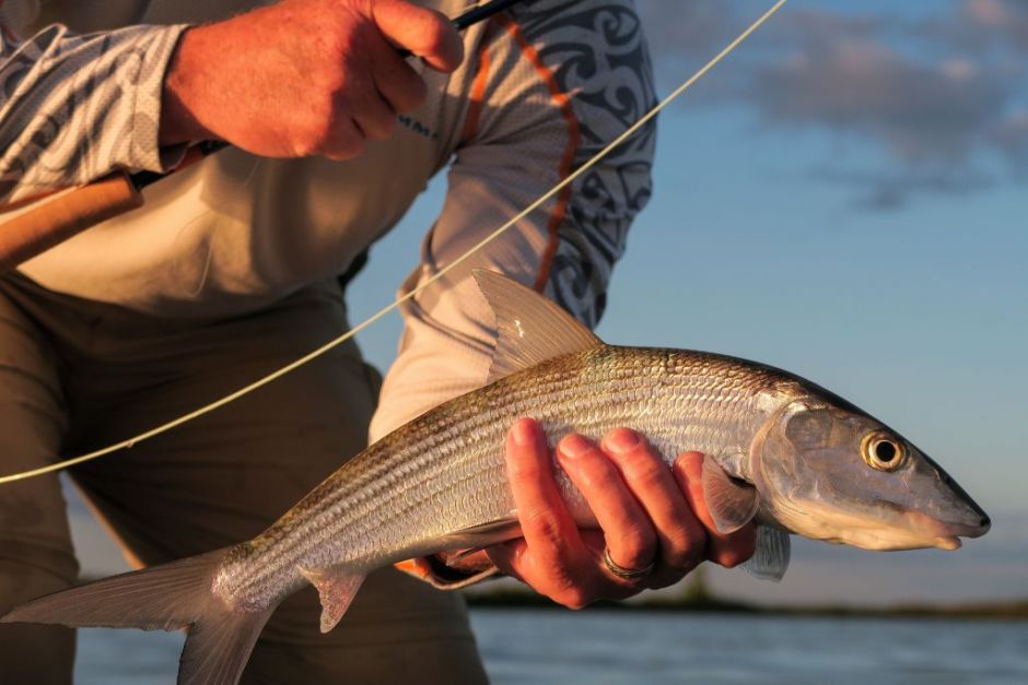 punta allen fly fishing — Ashland Fly Fishing Blog - Worthington